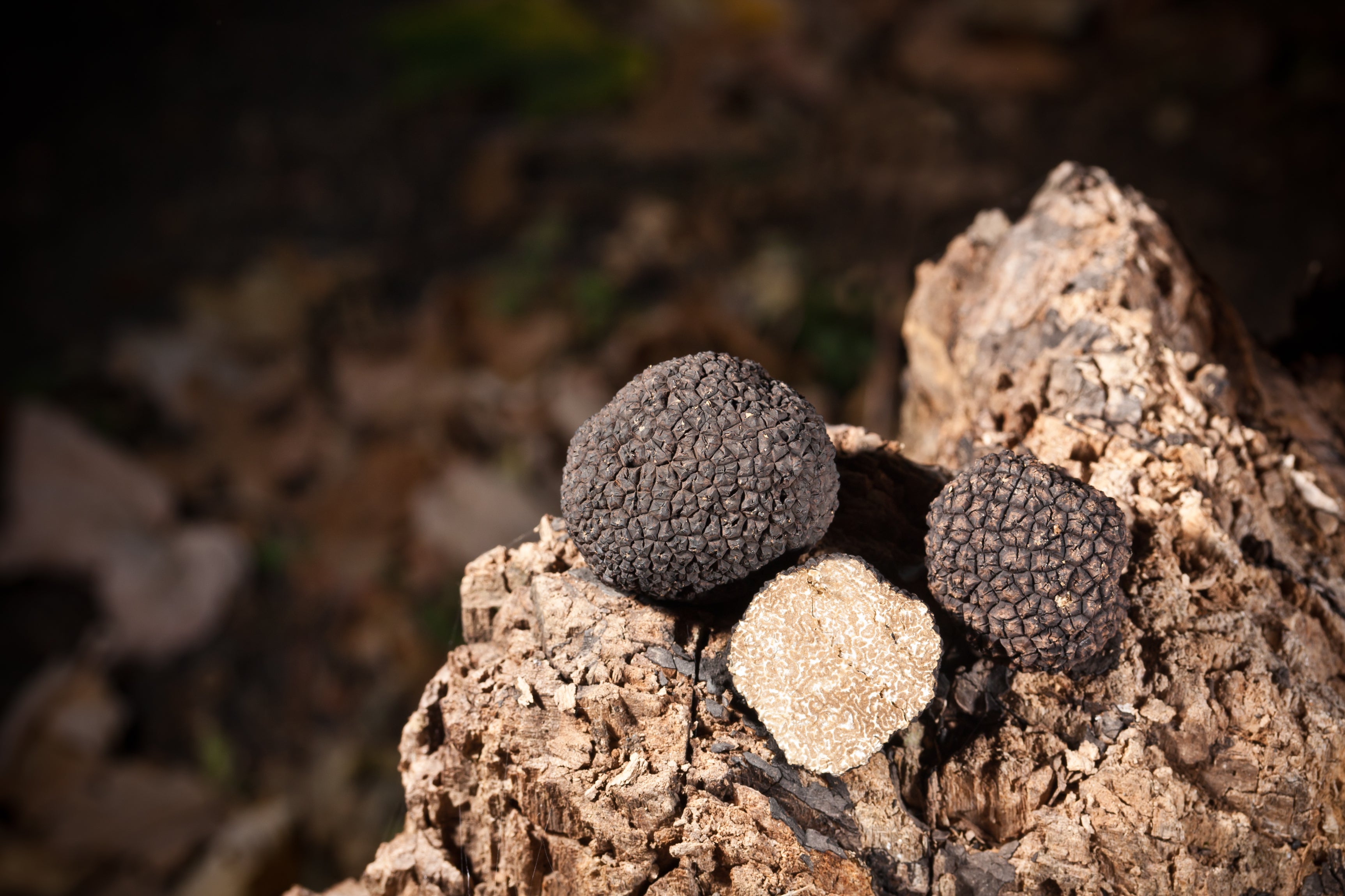 Truffles