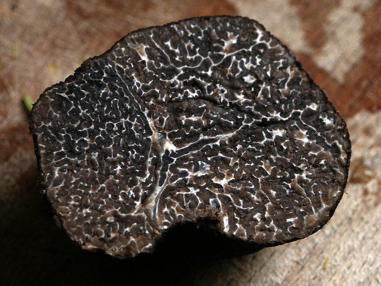 Luca's Black winter truffles  (Tuber Melanosporum)